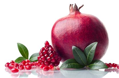 Picture of Indian Pomegranate
